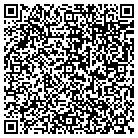 QR code with Cvi Security Solutions contacts