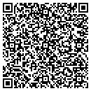 QR code with Cybertek Distribution contacts