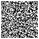 QR code with Pyramid Firewood contacts