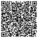 QR code with Matt J contacts