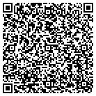 QR code with Baldwin Sign & Awning contacts