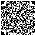 QR code with Signco contacts