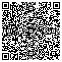 QR code with Signco contacts