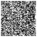 QR code with Blue Ridge Timber Inc contacts