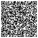 QR code with Pyramid Mechanical contacts