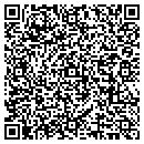 QR code with Process Fabrication contacts
