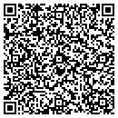 QR code with Preferred Iron LLC contacts