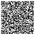 QR code with Rilmic contacts