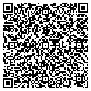 QR code with Cornelius Systems Inc contacts