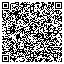 QR code with Pulau Electronics contacts