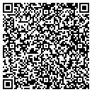 QR code with Clean Water Systems contacts