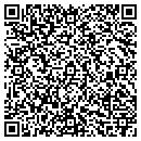 QR code with Cesar Amaez Handyman contacts