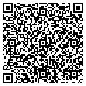 QR code with Pine Heritage Arts contacts
