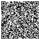 QR code with Curiosity Consignmenta contacts