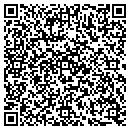 QR code with Public Storage contacts