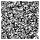 QR code with County Seat Variety Inc contacts