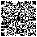 QR code with Carlson Fine Art Ltd contacts