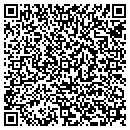 QR code with Birdwise LLC contacts