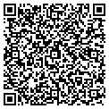 QR code with Hooked contacts