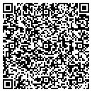 QR code with Cysciborg Co contacts