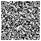 QR code with Pulaski Stone contacts