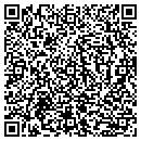 QR code with Blue Rock Industries contacts
