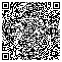 QR code with Hallock contacts