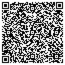QR code with Colonial Pipeline CO contacts