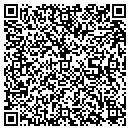 QR code with Premier Stone contacts