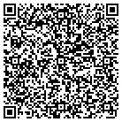 QR code with Professional Carpet Systems contacts