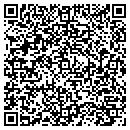 QR code with Ppl Generation LLC contacts