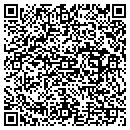 QR code with Pp Technologies Inc contacts