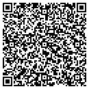 QR code with Pyramid Irrigation contacts