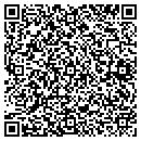 QR code with Professional Logging contacts