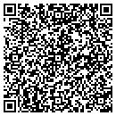 QR code with Protechnics contacts