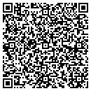 QR code with Borrego Services contacts