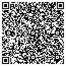QR code with Professional Projects contacts