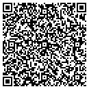QR code with Pyro Alternatives LLC contacts