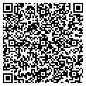 QR code with Ensign contacts