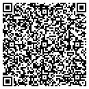 QR code with Pulse Well Service Inc contacts