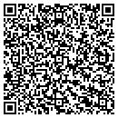 QR code with Premier Performance contacts