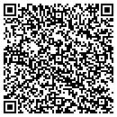 QR code with Purses Pumps contacts