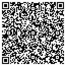 QR code with Carolyn I Steele PHD contacts