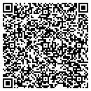 QR code with Career Transitions contacts