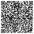 QR code with Magee contacts