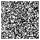 QR code with Premier Gem Corp contacts
