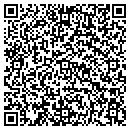 QR code with Proton Prc Ltd contacts