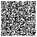 QR code with Amsoil contacts