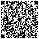 QR code with Badger Lubrication Techs contacts