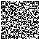QR code with Precision Lubricants contacts
